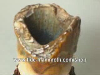 mammoth ivory tusk carving GROUP OF RABBITS 37226