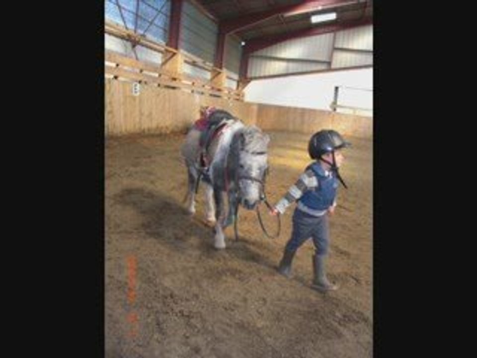 COURS PONEY