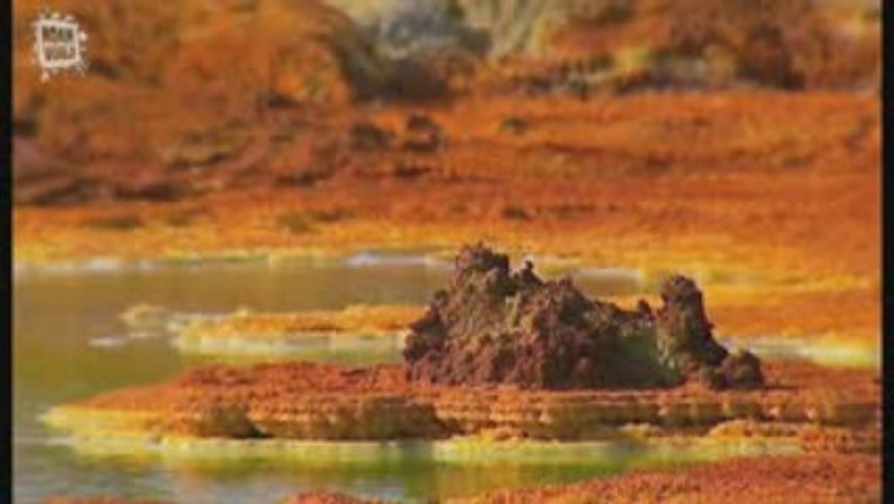 Formation saline et sulfureuse volcan Allol (Phoenicopterus)