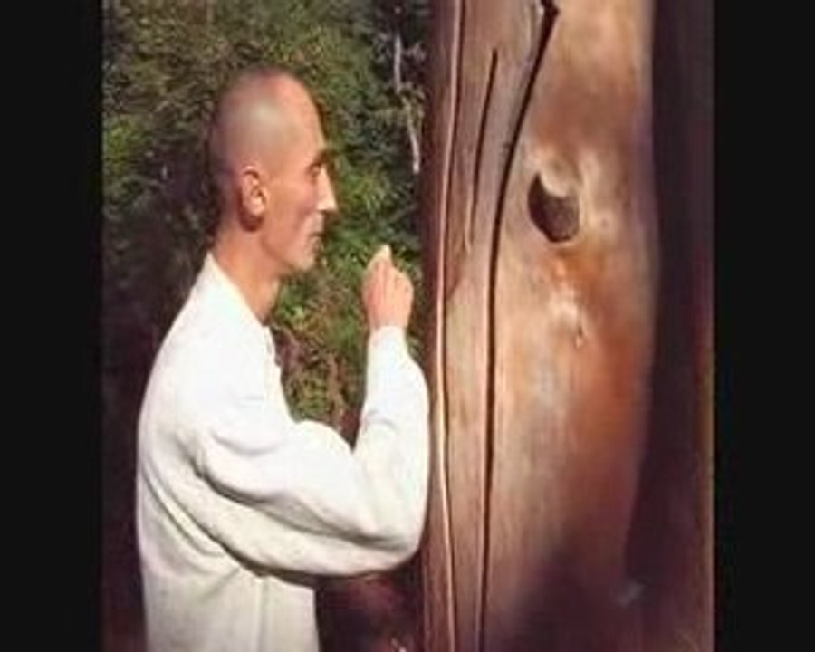 Le "Jardin des sons" : Les arbrassons au burck à Mérignac