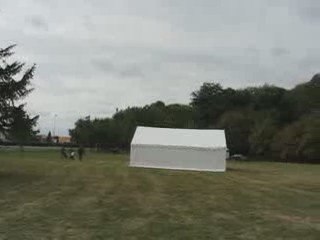 Aigrefeuille sur Maine : Nature en fête