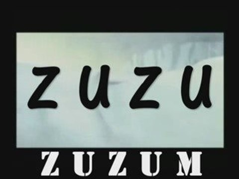 ZUZU, ZuZum, aykut , beyoğlu, izlesene, kucuk HIRSIZIM, mp3