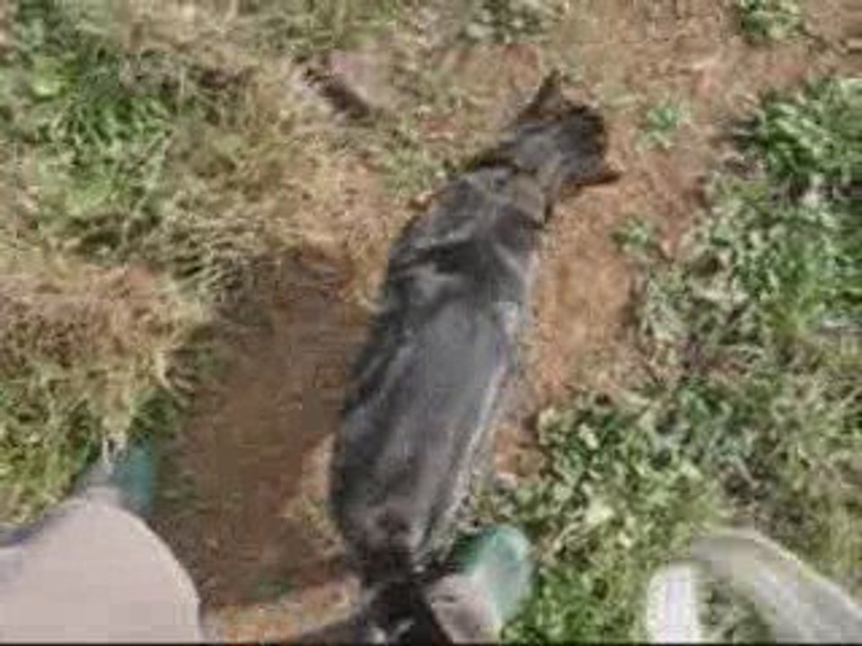 balade pilou et zyon