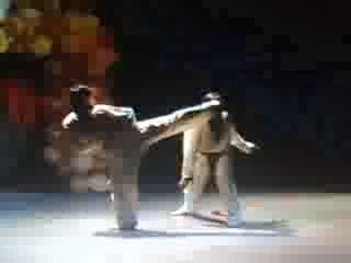 Brother Tiger ! Démo des Tigers