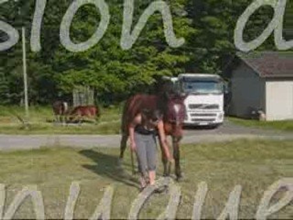 Séance à pied du 2 juin 2009