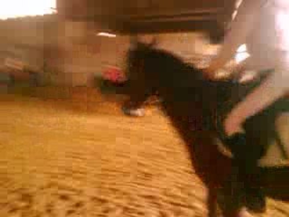 Cour d'équitation