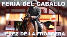 Démonstration de dressage à Jerez de la Frontera (musical)