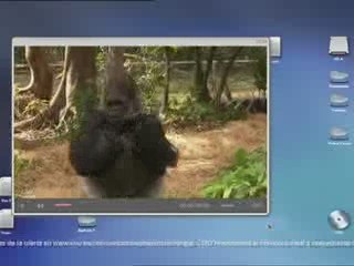 Gorila Bailón de anuncio de ONO