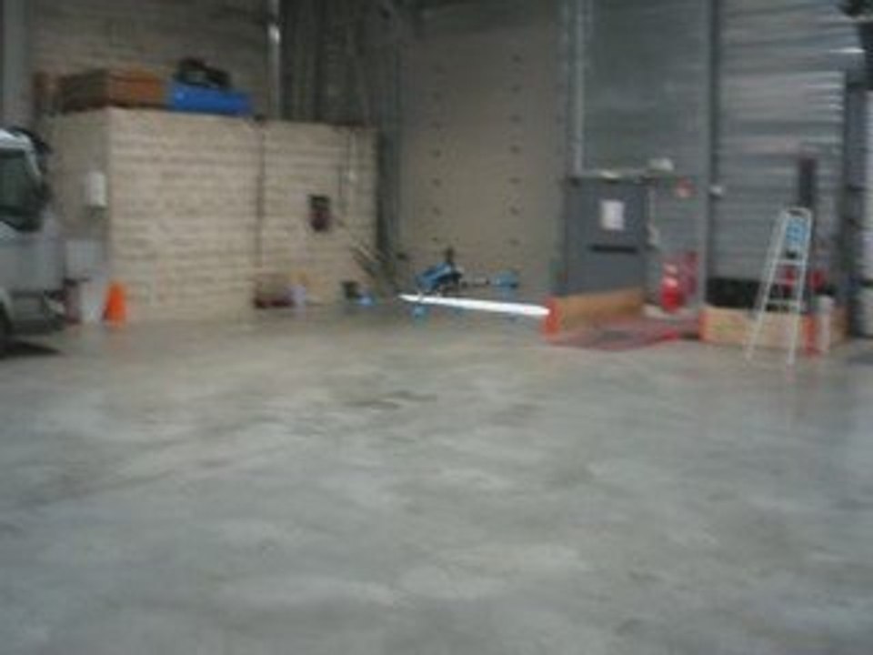 Mes Debuts en Honey Bee King 3