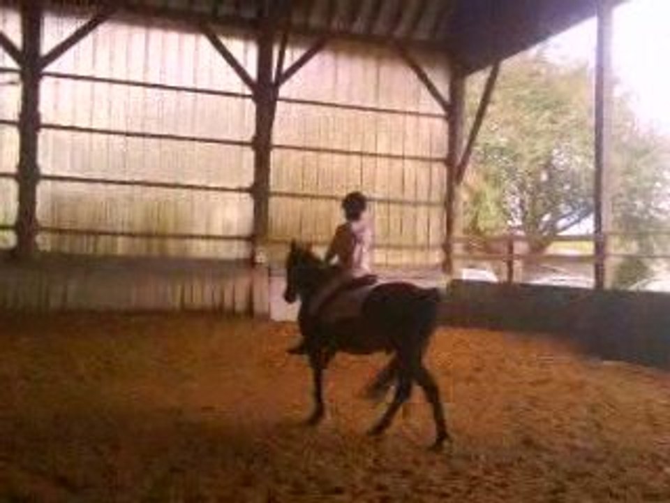 Cour d'équitation