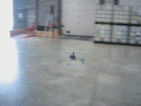 Mes Debuts en Honey Bee King 3