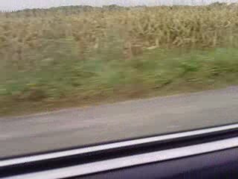 323i sport E30, retour de flammes...