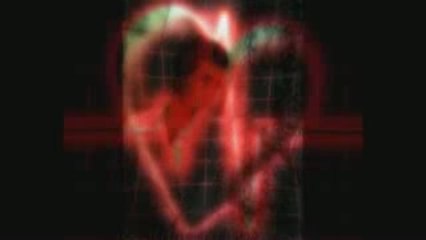 Şuara - Yolun Sonu   2009