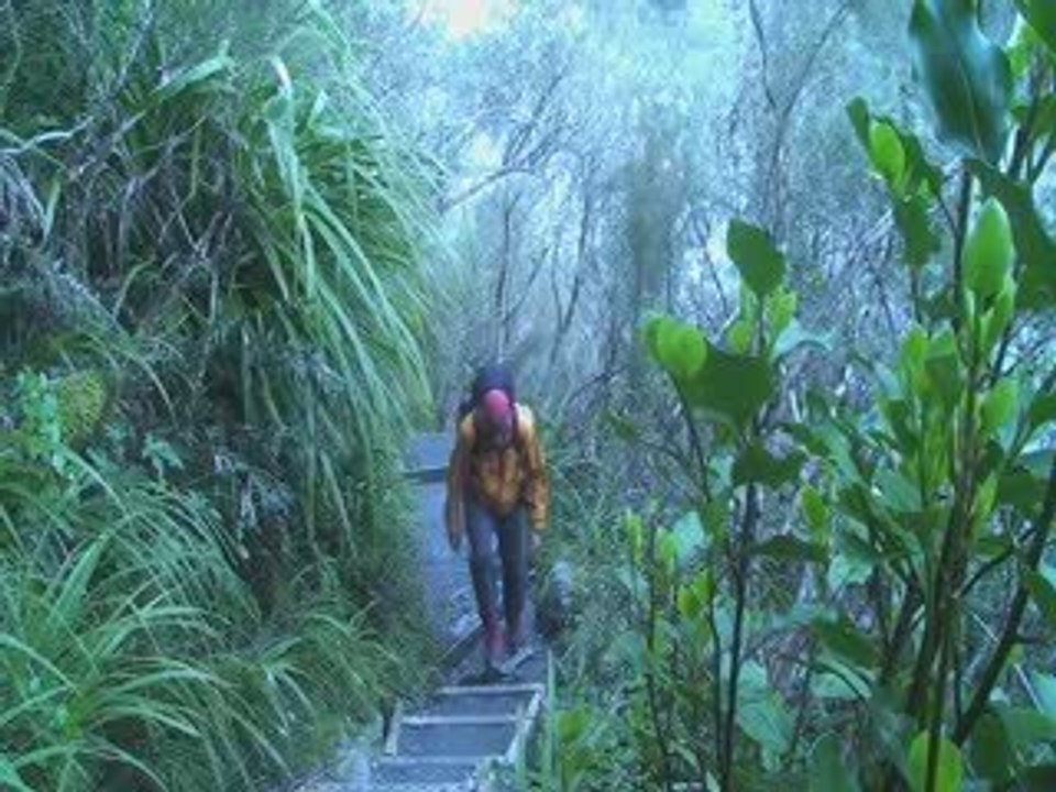 Arian en NZ, episode 28'