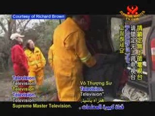 Help for Wildlife - the Angels of Australia P1/2