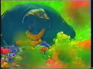 Mehmet Bozdoğan Aşığım Ben Selmaya