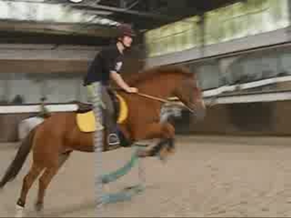 Cours du 3 Octobre : Saut avec Elvira :)