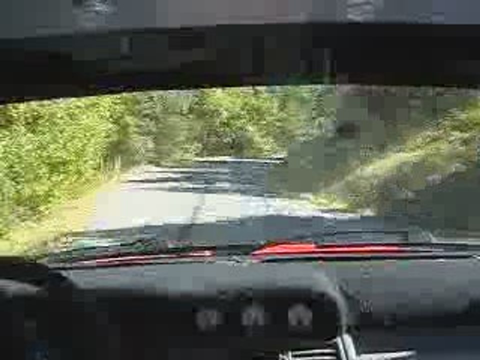 Rallye des Vallées 2009 Beraud/Guichard Clio Williams grA