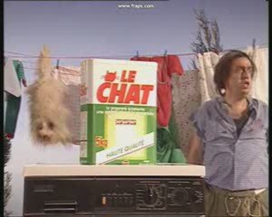 le chat