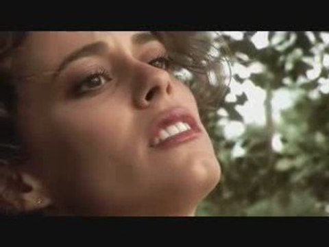 Le chant du merle noir au crépuscule