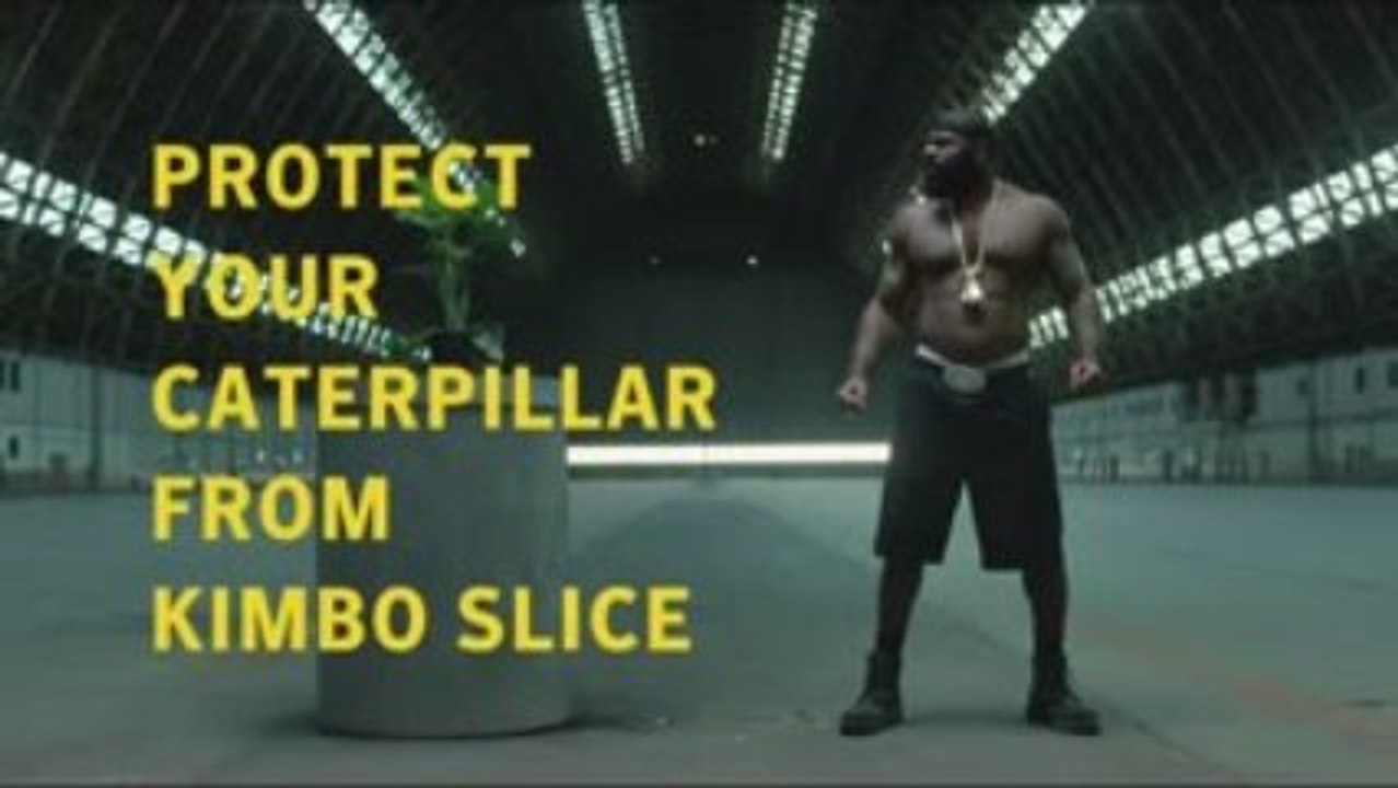 Kimbo Slice vs Caterpillar: Viruses - Mixed Martial Arts
