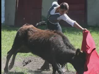 Tentadero en La Ganadería San Judas Tadeo (Mexico)