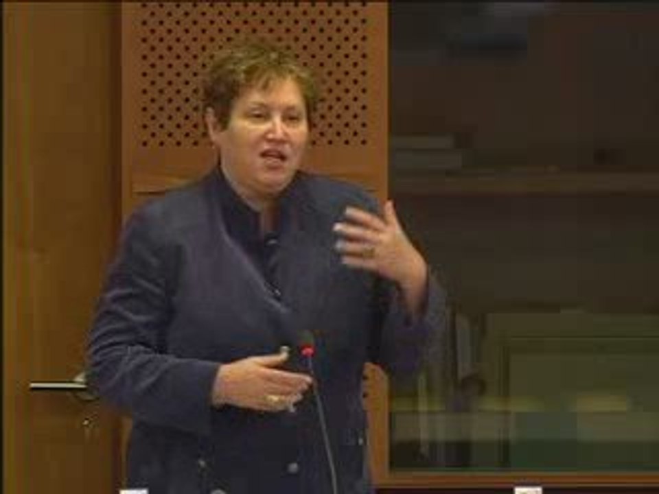Renate Weber on criminal proceedings (2)