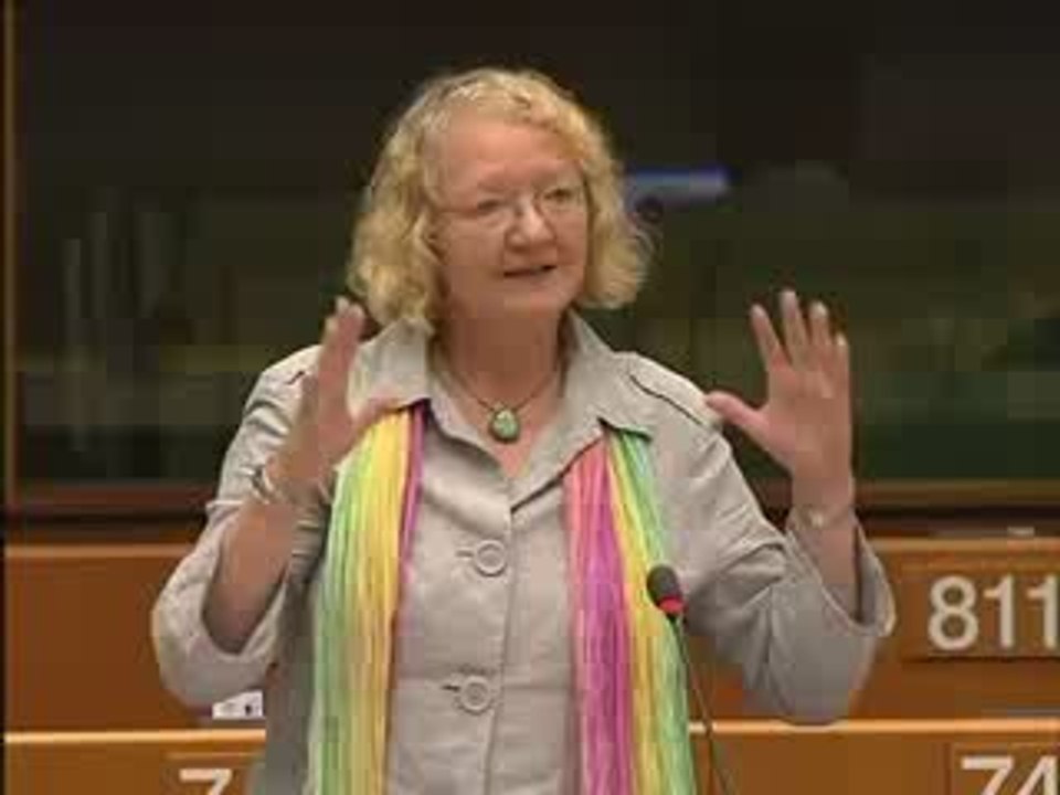 Gesine Meissner on Passenger compensation