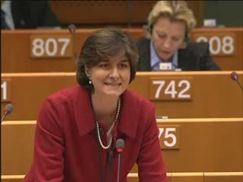 Sylvie Goulard on Freedom of information in Italy