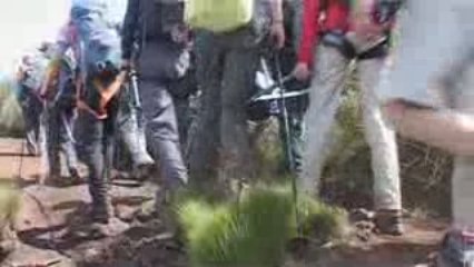 Mon p'tit loup - Kilimandjaro : Jour 2