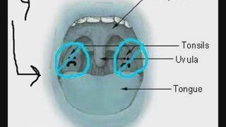 Symptoms - Annoying Cough, Sore Throat Feeling And Bad ...