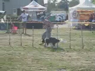 Catherine et Belette, jumping à Nouans le 15 aout 2009