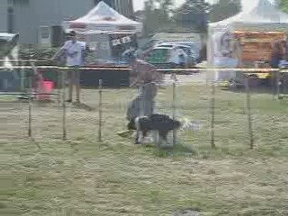 Catherine et Belette, jumping à Nouans le 15 aout 2009