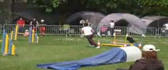 tania  agility