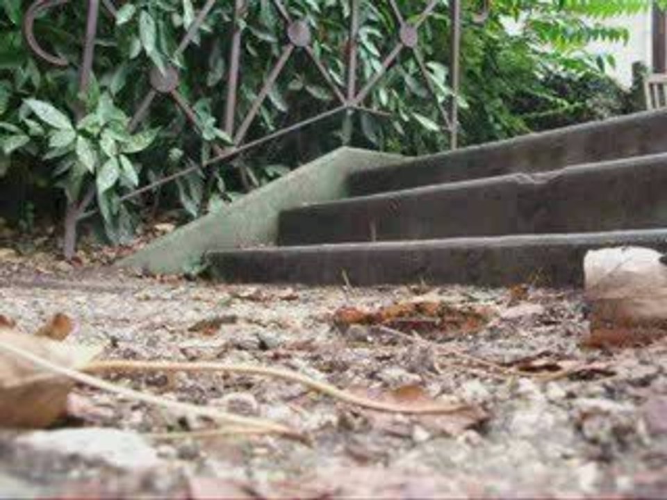 Moi en skate (saute 3 marches)