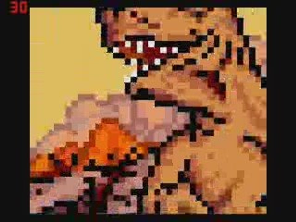 Teenage Mutant Ninja Turtles IV Turtles in Time 03