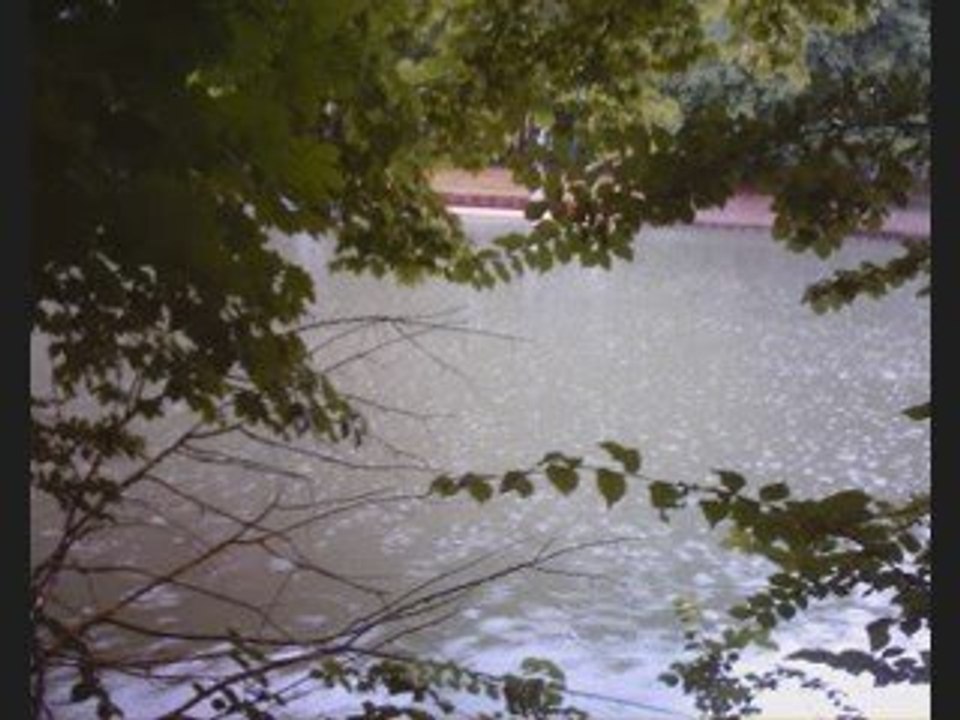 En me promenant la musique de Jena Lee J'aimerais tellement