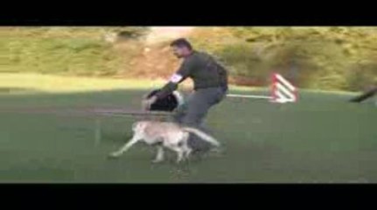 Alaska GPF Agility Villefranche 04/10/2009