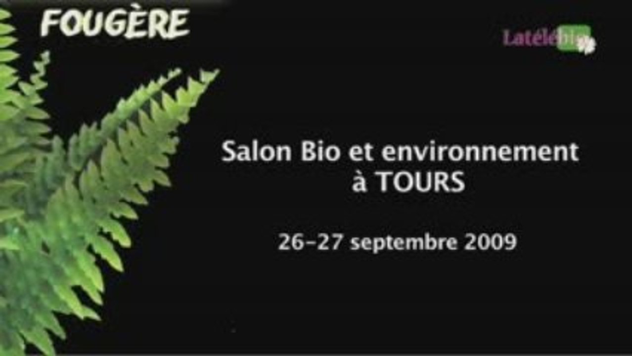 Salon Fougere à Tours