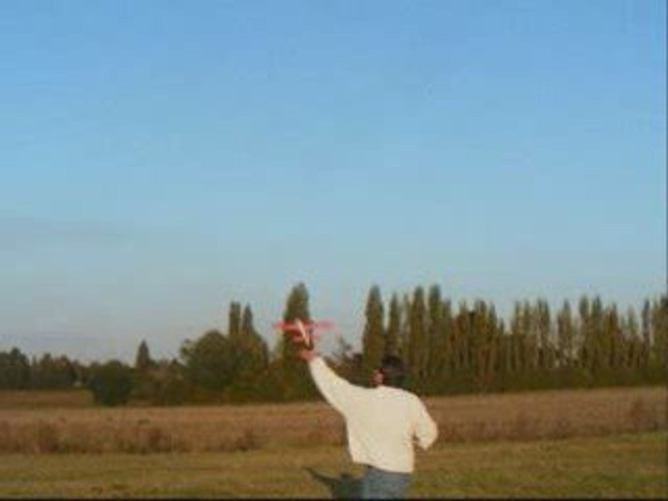 jetfox2