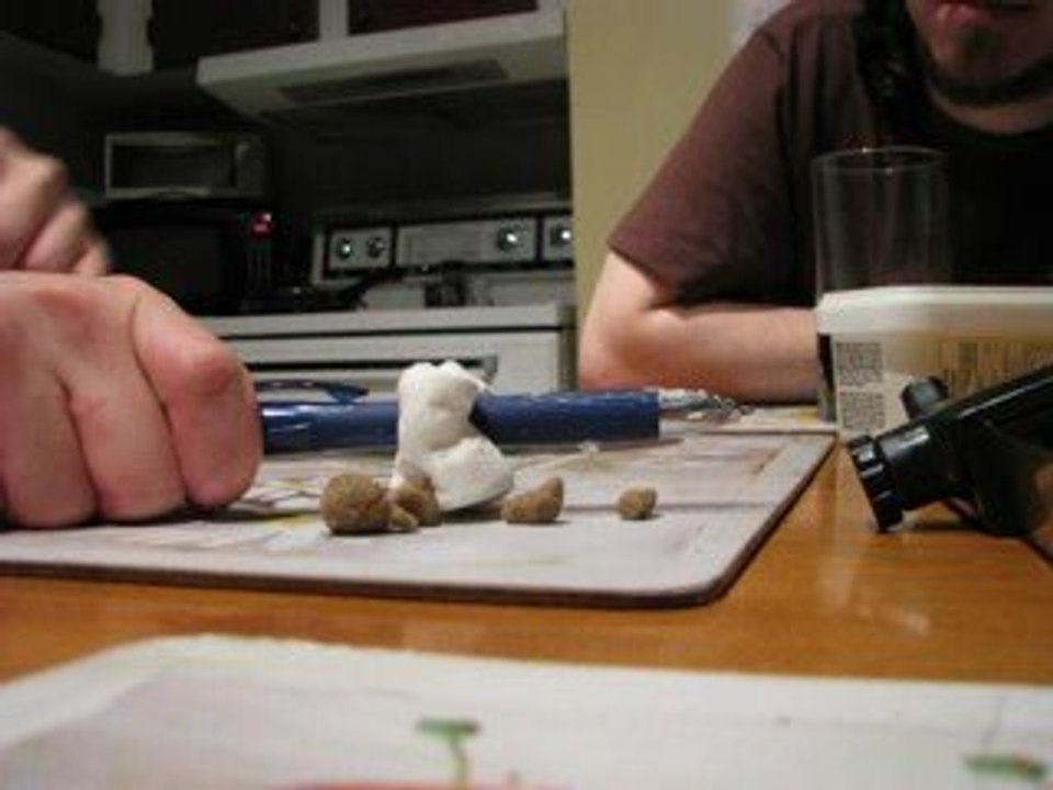 Coeurs sensibles s'abstenir!