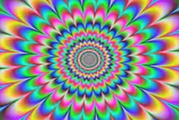 BERT THE RUNNER DUCK sings "Bike" by Pink Floyd