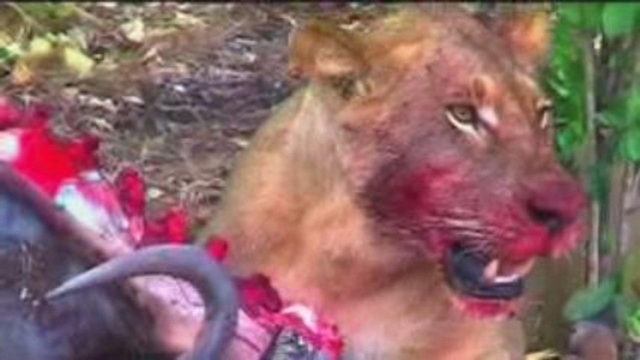 Promoting Tourism and Travel through Video