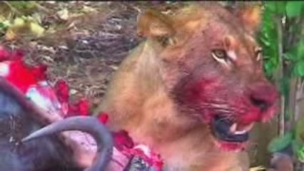 Promoting Tourism and Travel through Video