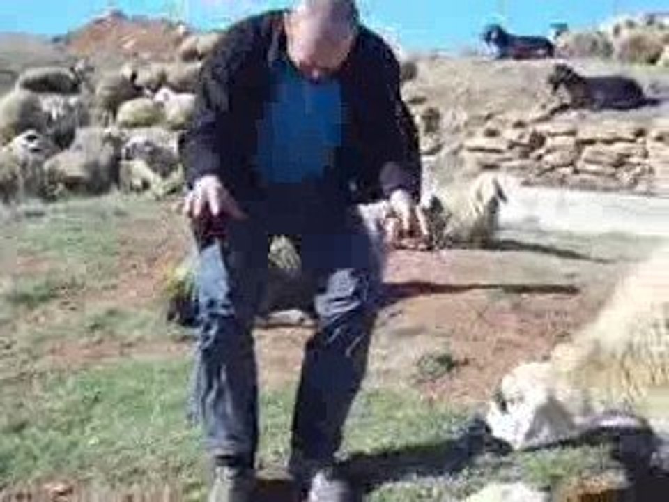 SARIHIDIR KÖYÜ'NDE ÇABAN OLMAK (6)