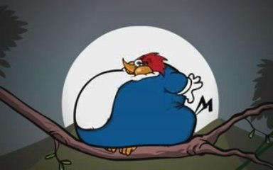 32 Pajaro carpintero