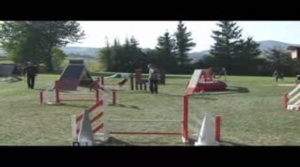 Astro Open Agility Villefranche 04/10/2009