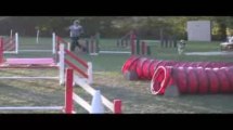 Salsa jumping agility villefranche 04/10/2009