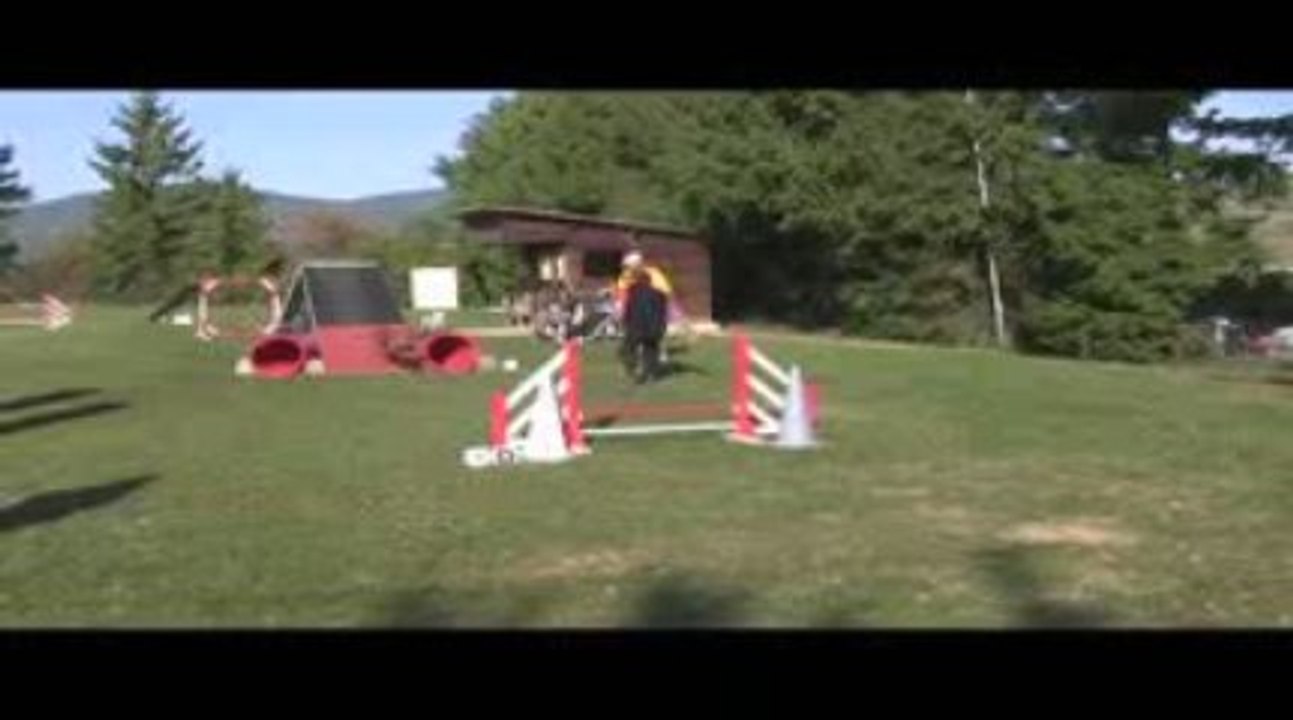 Bango GPF Agility Villefranche 04/10/2009