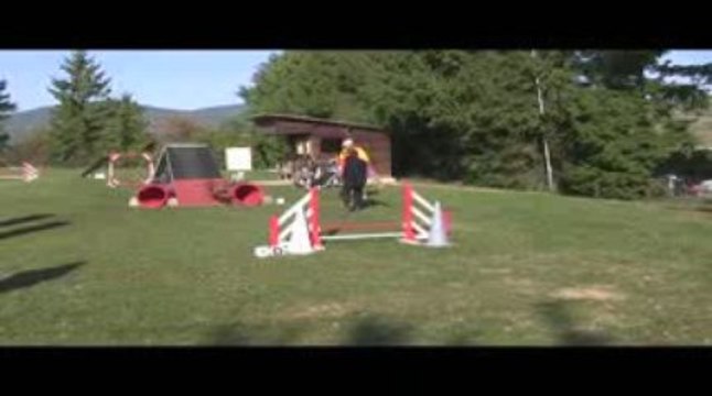 Bango GPF Agility Villefranche 04/10/2009